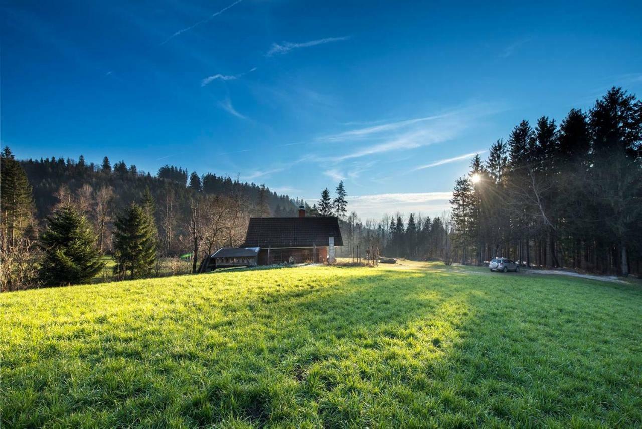 Little Dream House In A Perfect Spot Villa Zalog Luaran gambar